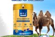 骆驼奶粉批发-驼奶粉贴牌代工-骆驼奶粉招商加盟
