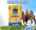 骆驼奶粉批发-驼奶粉贴牌代工-骆驼奶粉招商加盟