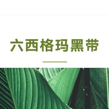 深圳六西格玛黑带（SSBB）培训机构