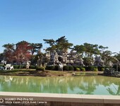 嘉興公園假山,嘉興大型塑石假山施工隊,假山景觀