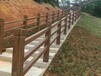 柳州水泥假山,柳州假山制作公司,柳州塑石假山生態園仿真樹大門