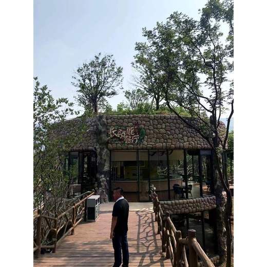 和平景區(qū)假山設計,和平水泥塑石假山設計,人造風景石