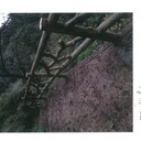 淮南假山施工,淮南水泥假山批發(fā)市場,做一個假山價格設計制作
