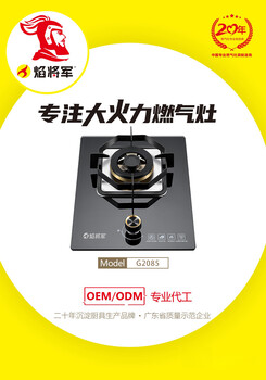 家用煤氣灶源頭生產(chǎn)廠家招商加盟代理焰將軍大火力灶具