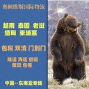 上海到越南物流專線公司單程直達(dá)本地出發(fā)合作共贏