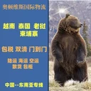 在線咨詢-昆山到越南物流公司2025省市縣直達(dá)