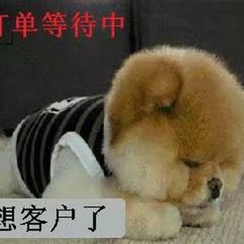 2024海南綠色建材展-全屋定制展-室內(nèi)門展-