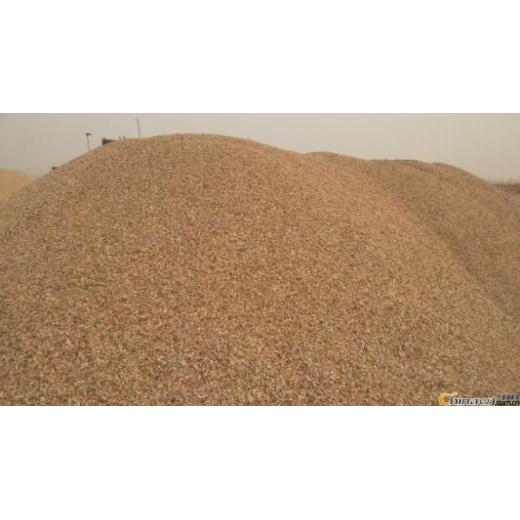 玉林容县天然海砂(海沙)石英砂（猛砂）滤料生产供应商