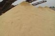 吉林市水处理石英砂海砂（海砂）滤料厂家批发供应