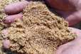 梧州长洲区水处理海砂(海沙)（白沙）滤料厂家批发供应