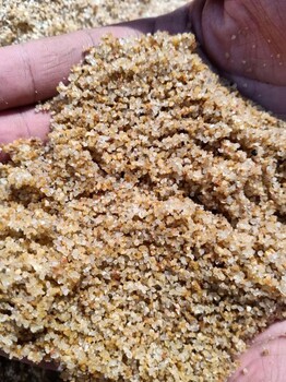 武漢江岸區(qū)濾料用海砂(海沙)（白沙）濾料廠家批發(fā)