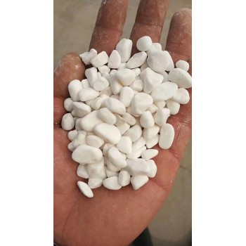 牡丹江市白色石英砂海沙儿童沙厂家批发供应