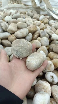 錦州凌海市變壓器鵝卵石米黃色鵝卵石質(zhì)優(yōu)