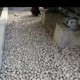 發發助手