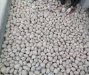 果洛甘德县化工厂鹅卵石一吨价格图片