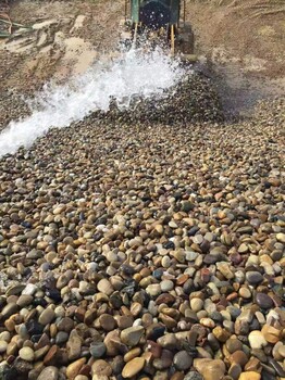 資陽(yáng)市自來(lái)水處理廠、污水處理廠用,有鋼廠用鵝卵石,水處理墊層系列供應(yīng)商