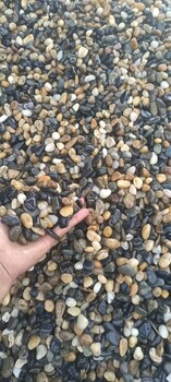 上饒定南縣污水處理鵝卵石濾料生產供應商
