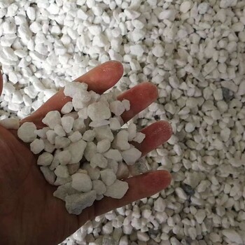 保定望都縣庭院白石子鋪路白色水磨石子洗米石白卵石金剛砂廠家批發(fā)供應