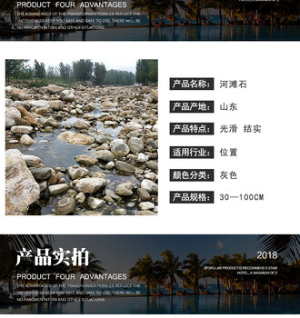 來(lái)賓市鵝卵石/河灘石/水沖石供應(yīng)商