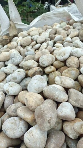 南寧馬山縣污水廠處理鵝卵石有限公司