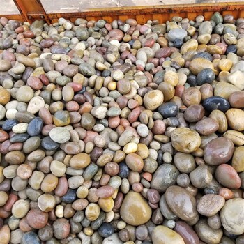 長沙望城縣鵝卵石變壓器電力工程鵝卵石50-80㎜水洗河卵石?價格