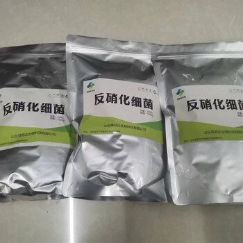 市政污水處理化工廢水處理氨氮降解菌廠家供應(yīng)