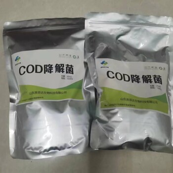 微生物菌種廠家COD降解菌種污水廢水處理河道治理