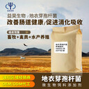 小棚蝦養(yǎng)殖用微生物菌劑地衣芽孢OEM貼牌益昊飼料添加劑