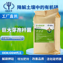 百億芽孢桿菌適合經(jīng)銷農(nóng)資店招代理可定益昊制微生物菌劑廠家