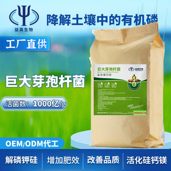 百億芽孢桿菌適合經(jīng)銷農(nóng)資店招代理可定益昊制微生物菌劑廠家