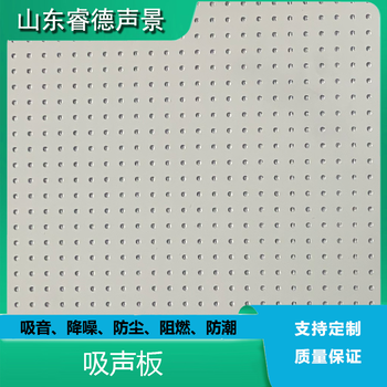 rayde疗养院声学设计噪声治理公司