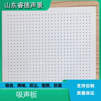 rayde辦公室聲學(xué)設(shè)計(jì)室內(nèi)噪音治理公司