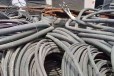内江50电缆回收商业行情