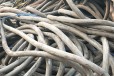 钢芯铝绞线回收多少钱一吨回收电缆电线常年回收