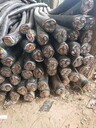 舊電纜回收價格銅鋁電纜回收好消息