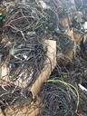 電纜回收圖片真實回收電纜銅線廠家電話