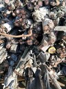 湖北潛江奕銘工程剩余電纜回收拆除服務(wù)至上