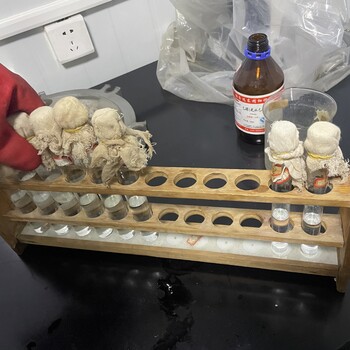 臨沂酸洗石英砂廢水檢測(cè)排污許可檢測(cè)方案