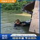 發發助手