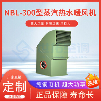 NBL-300型离心式蒸汽暖风机/运行稳定/安装简单/热风采暖系统