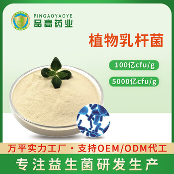 廣東植物乳桿菌生產(chǎn)廠家