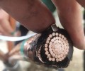 通信电缆回收-东莞南城区母线槽回收多少钱一吨