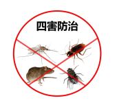 上海灭鼠除虫公司快速上门抓老鼠灭蟑螂服务