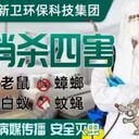 上殺蟲滅鼠公司酒店抓老鼠滅蟑螂除跳蚤快速上門服務(wù)