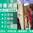 上海消殺除四害公司餐飲店酒店除蟑螂滅鼠A級(jí)資質(zhì)