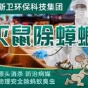 上門(mén)除四害滅蚊蟲(chóng)除老鼠滅跳蚤A級資質(zhì)