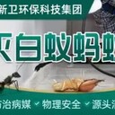 上海除白蟻公司全新衛(wèi)環(huán)保上門滅白蟻防治服務(wù)