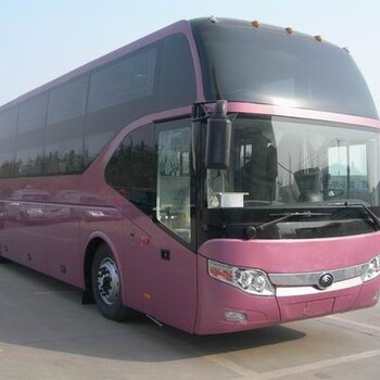 萊州到柳州的汽車(chē)(專(zhuān)線(xiàn)客運）歡迎致電