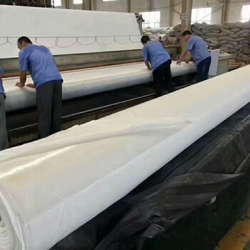 復(fù)合土工膜廠家防水土工布廠家兩布一膜廠家