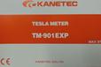 KANETEC強力高斯計TM-901EXP磁通計